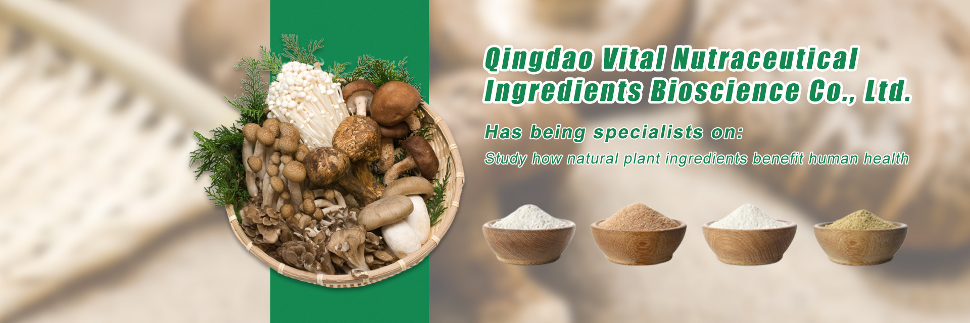 calidad Extracto de hierbas vegetales fábrica